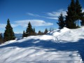 IMG_1536