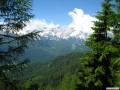 IMG_1330