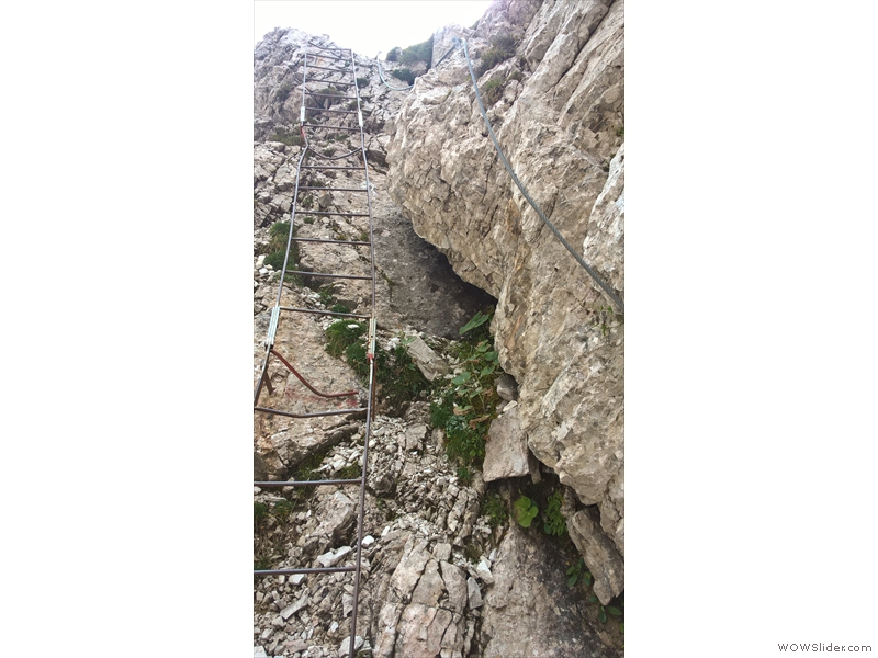 WP_20160923_14_08_14_Pro