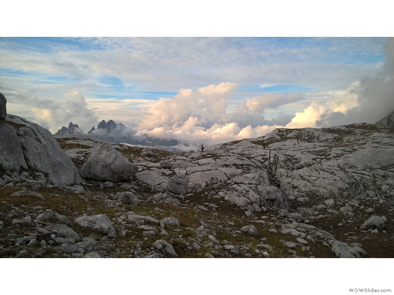 WP_20160923_18_08_42_Pro
