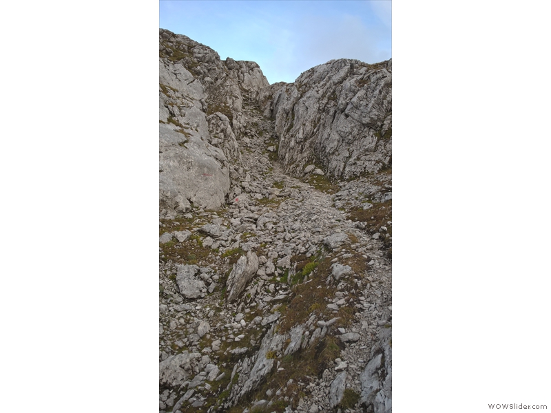 WP_20160923_18_25_18_Pro