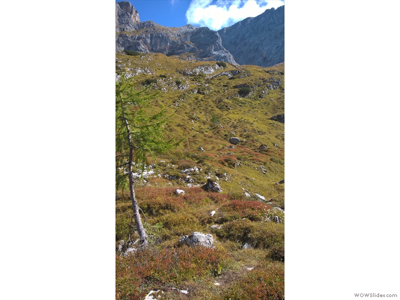 WP_20160924_12_17_15_Pro