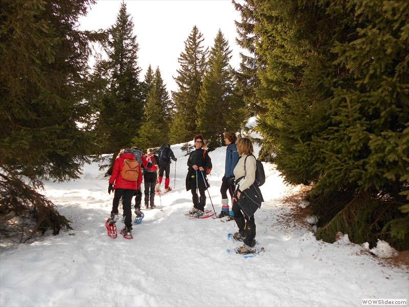 Monte Maggio 02-2017   016