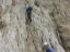 Brenta 07-2018  130