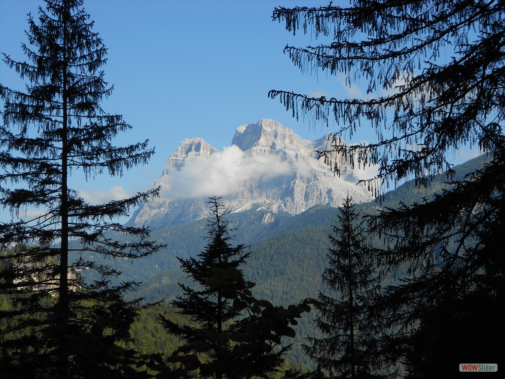 SoralSass 09-2020 006