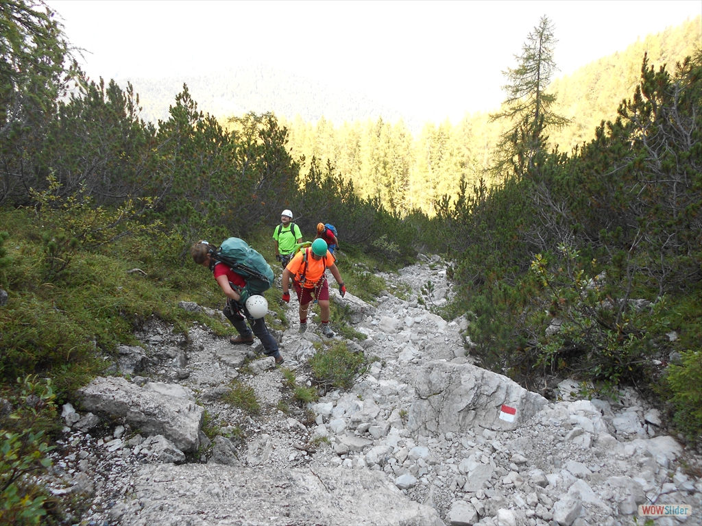 SoralSass 09-2020 045