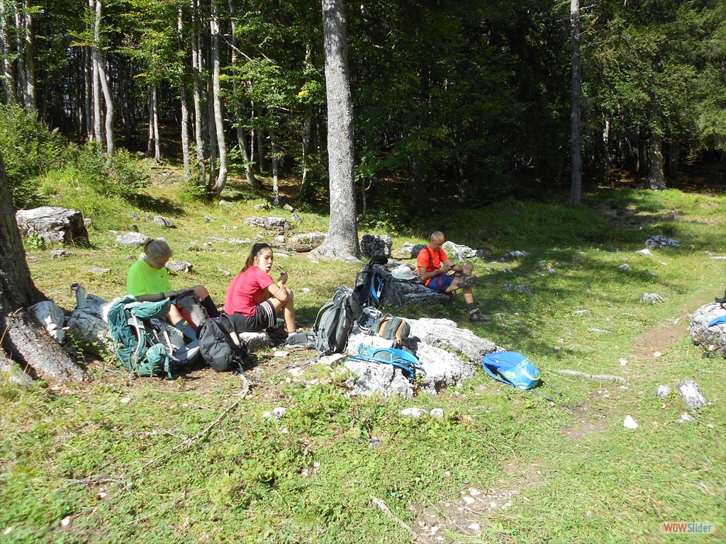 SoralSass 09-2020 083