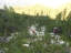 SoralSass 09-2020 047