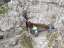 SoralSass 09-2020 058