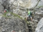 SoralSass 09-2020 069