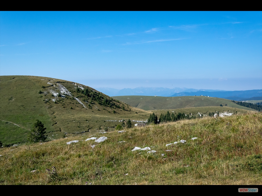 DSC_0029