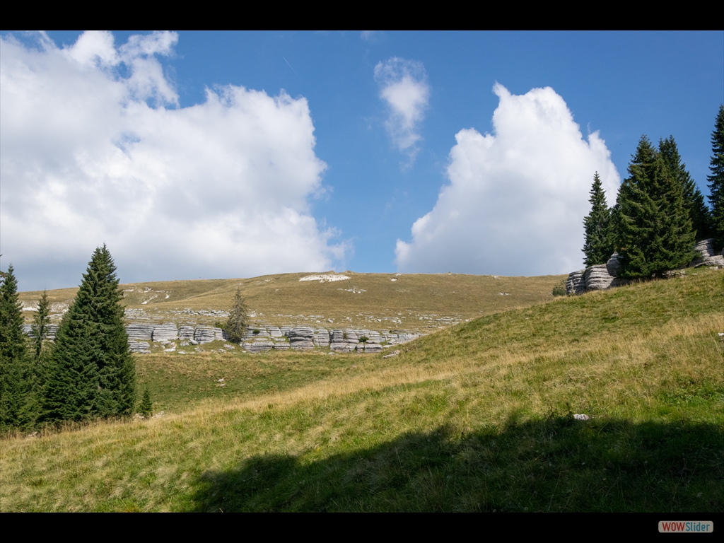 DSC_0057