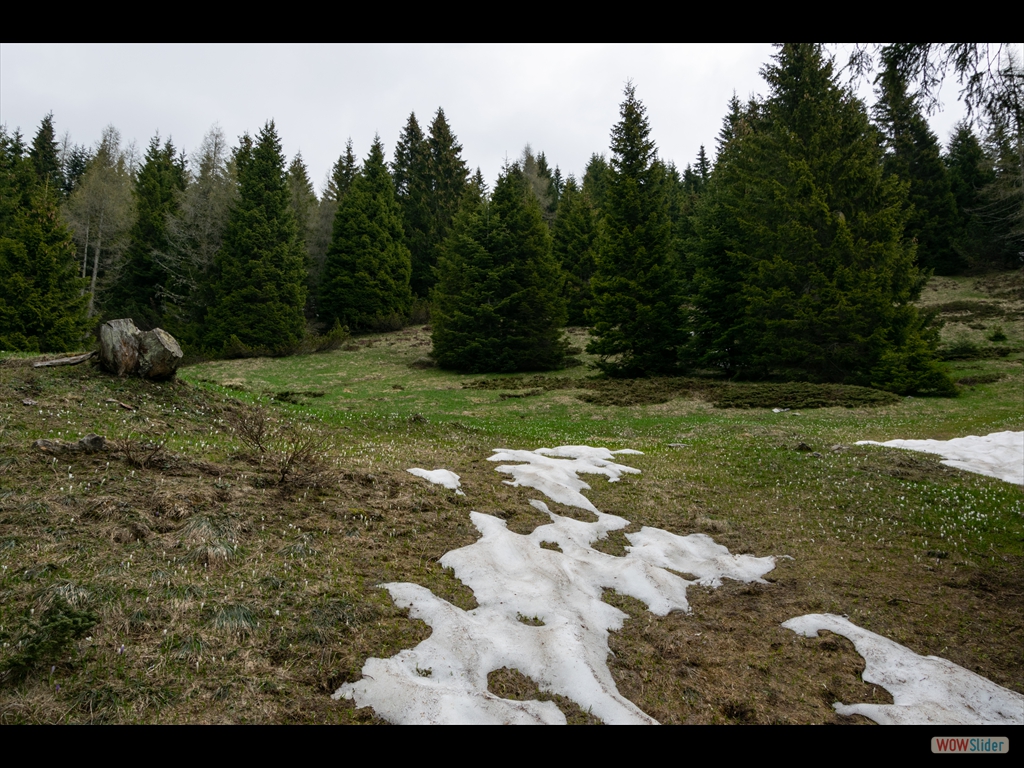 slider jquery