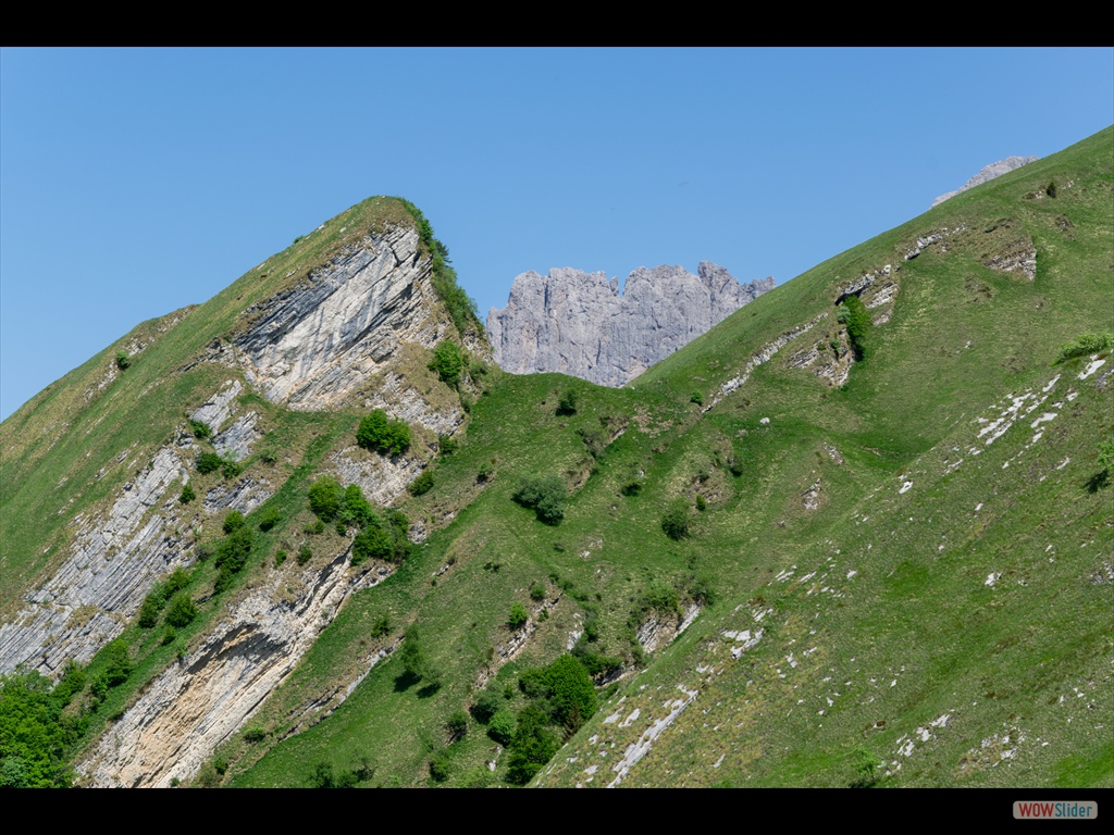 DSC_0017