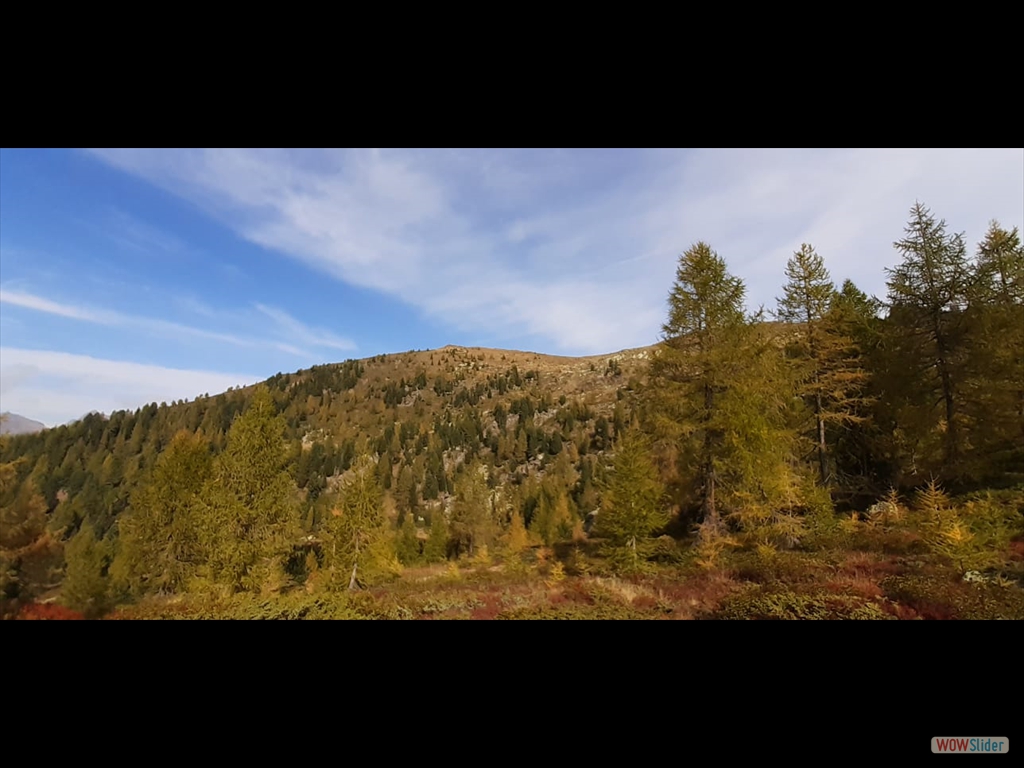 PHOTO-2023-10-14-17-00-56(1)