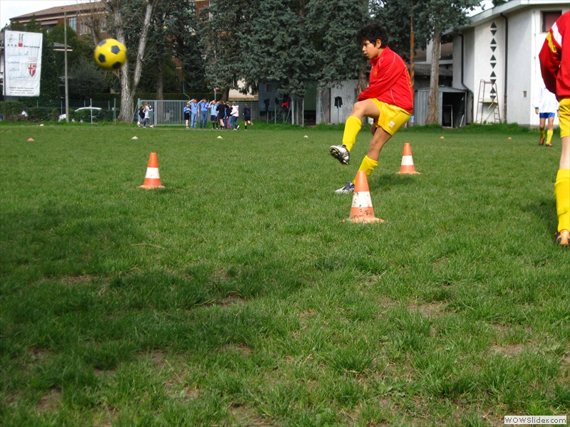 IMG_8519